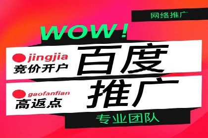 百度推广费用优化策略成功案例分享